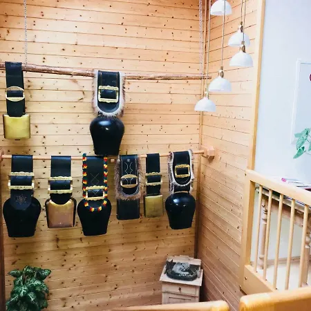 Haus Stabentheiner Apartment Au (Bregenz)