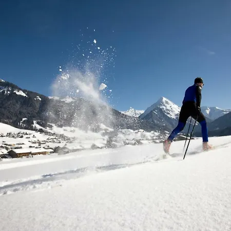 Apartment Haus Stabentheiner *
